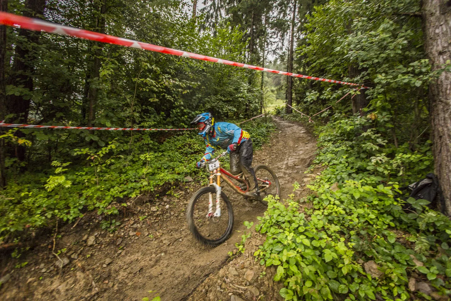 A helmeted mountain biker darting down a muddy forest path on a red mountain bike; surrounded by shrubs and trees, the path is lined with strips of red-and-white tape.