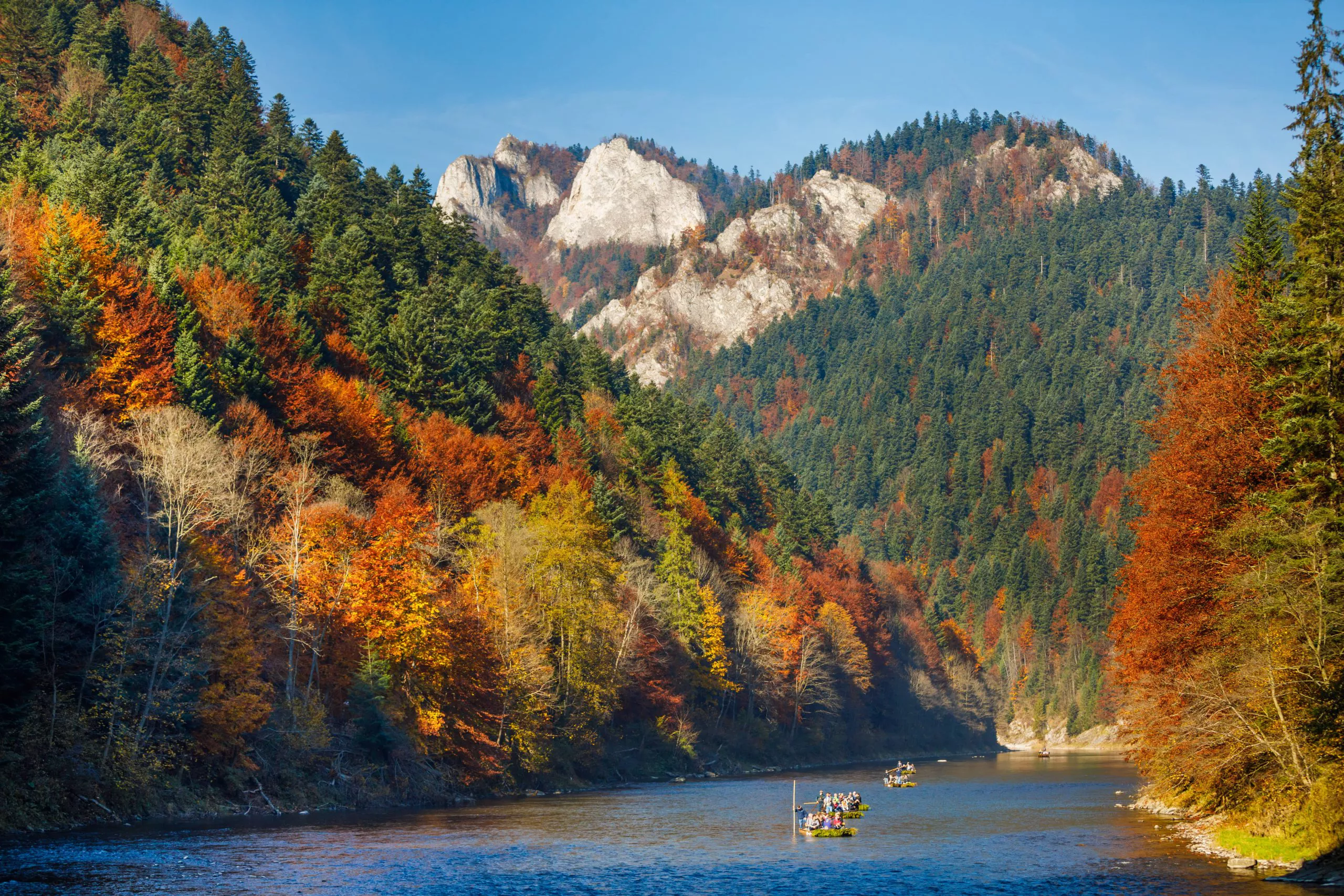 Ein Blick auf mehrere Raftingboote, die den Fluss Dunajec hinunterfahren. Den Fluss umgeben Bäume mit buntem Herbstlaub. Oben, im Hintergrund, sieht man die felsigen Pieninen-Gipfel. Der Himmel ist wunderschön blau und wolkenlos.
