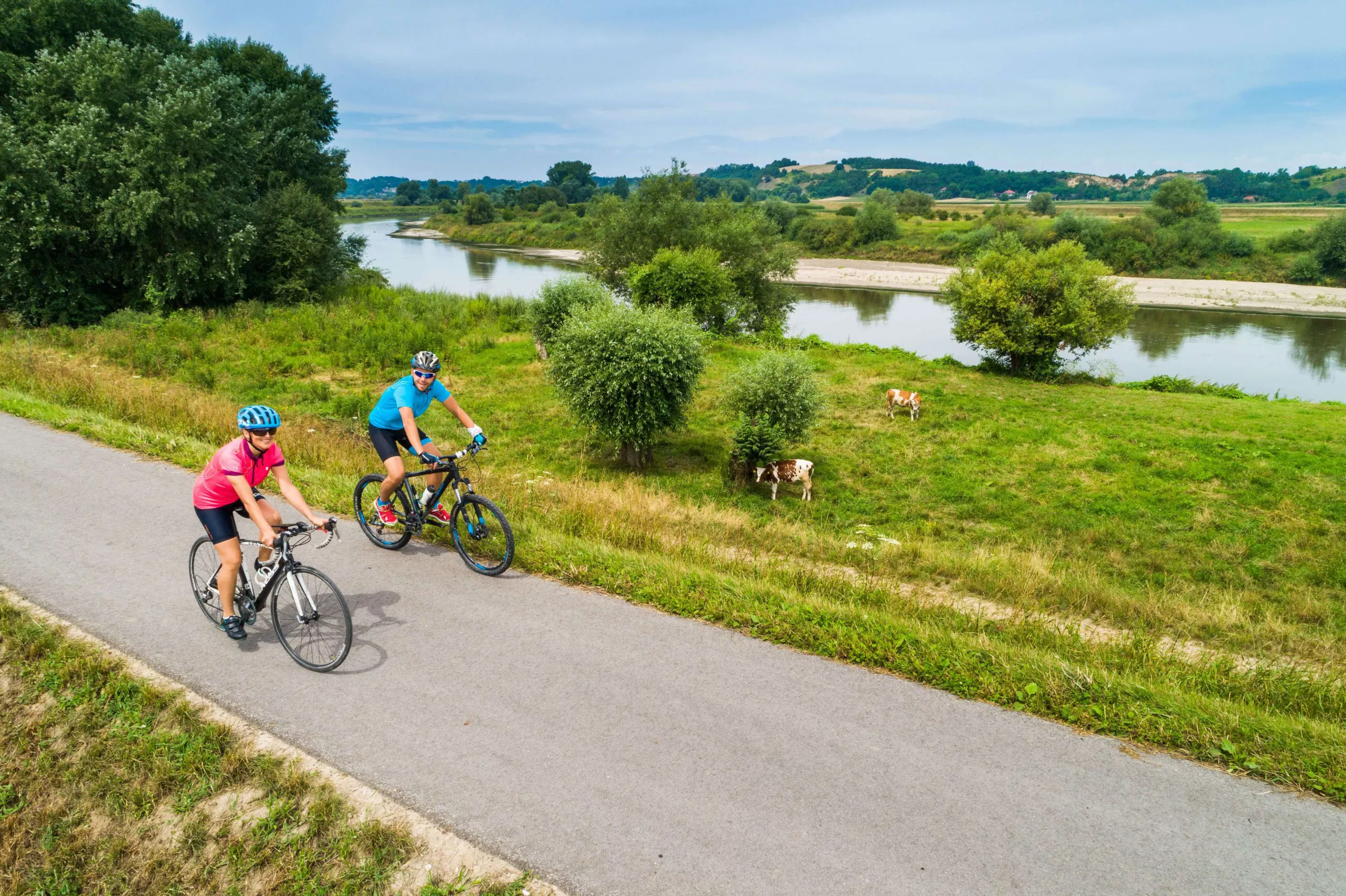 Two cyclists wearing blue jerseys, helmets, and dark glasses cycle towards us along a long stretch of red bicycle trail running among green fields. The distant plane consists of two wooded slopes gently dropping towards the near end of the lake, and blue mountains rising high behind it.