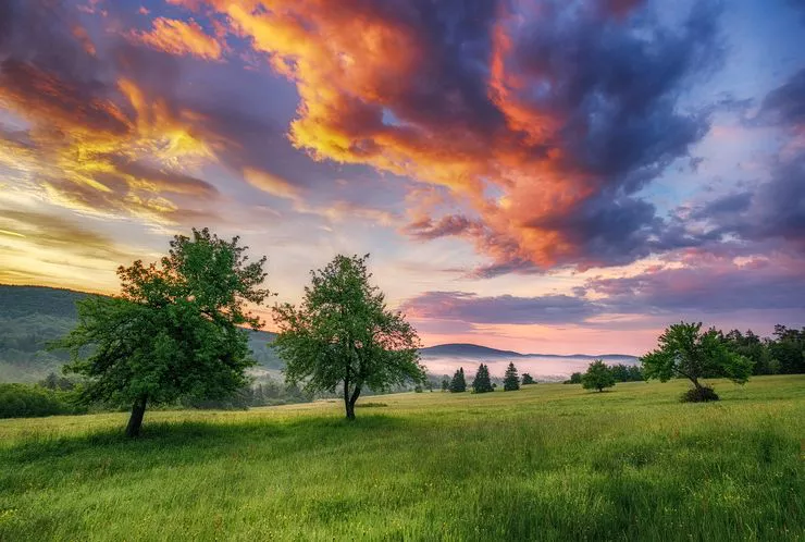 An expanse of green meadow with some solitary trees makes the foreground. Hills, their feet enshrouded in mist, stand in the background under a cloudy sky coloured in all hues of yellow, golden, orange, pink, and violet by the setting sun.