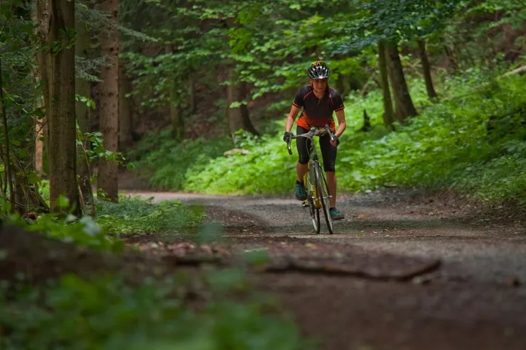 A young woman in a crash helmet and sports clothes is riding a bicycle along a road going uphill through a green wood in the mountains against a background of well lit trees and green undergrowth.