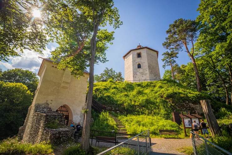 A view of the ruins of partly reconstructed Ojców Castle with the entrance gate on the left, and the keep standing centrally on the hill. Below it, there are benches and information tables tourists. There are trees on the right and left of the photo, and the sun is piercing through the leaves of the ones on the left.