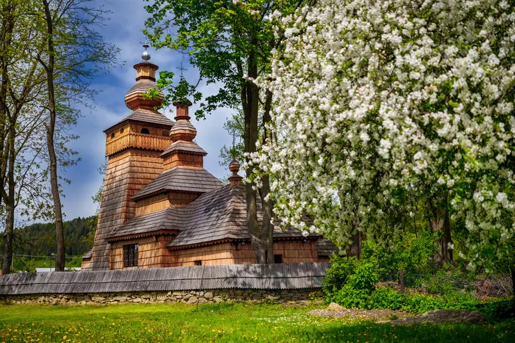 A view of a stunning, ancient wooden church standing in the Polish Carpathians. The body of the church consists of the chancel with an adjacent sacristy, nave, and a porch surmounted with a tall tower. There is a beautiful flowering tree in the foreground on the right. The sky over the church is slightly overcast.