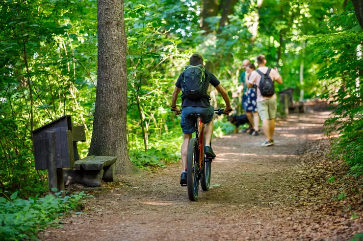Blick auf einen Mann, der mit dem Fahrrad einen Waldweg entlang fährt. Im Hintergrund ist eine spazierende Familie zu sehen. Entlang des Weges wachsen auf beiden Seiten hohe Bäume. Unter einem der Bäume steht eine Holzbank.
