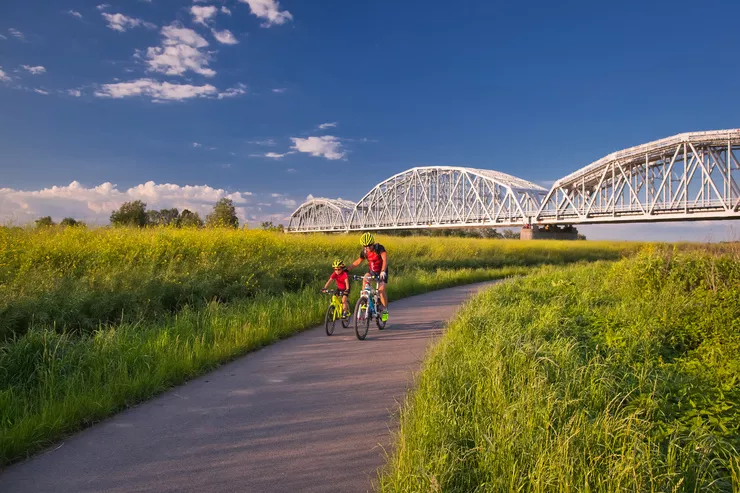 A man and a little boy in sportswear and helmets are riding their bicycles towards us along a bike path with plenty of tall grass on both sides. In the background, there is a white multi-span truss bridge, and the sky is blue with almost no clouds.