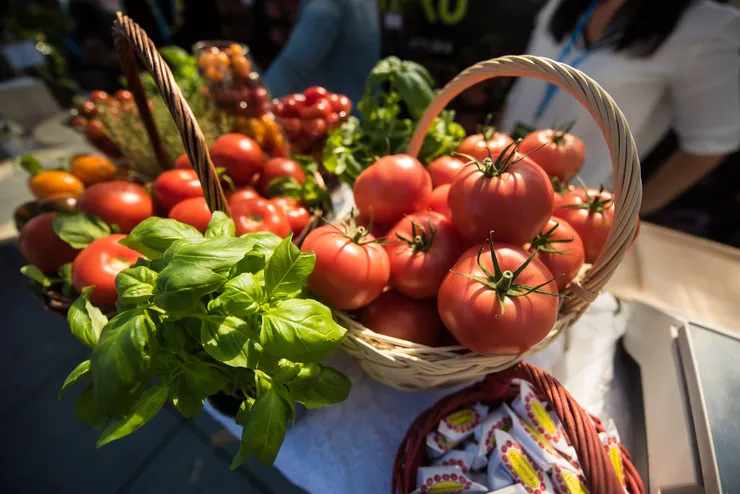 A view of choice red tomatoes arranged in shallow wicker baskets. Some out-of-focus miniature tomatoes are arranged behind them. The large ones are decorated with live basil sprigs.