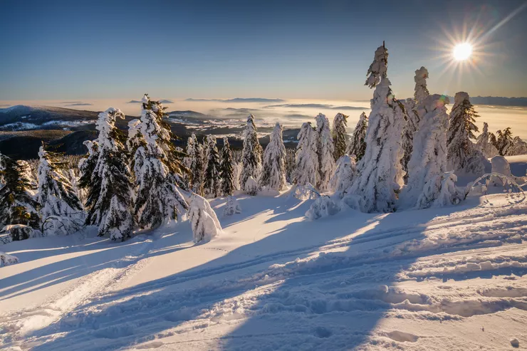 A view from Mt Babia Góra down on beautifully snow-clad trees on its white slope. The very distant plane is taken by hills under a blue sky, with the sun visible on the right.