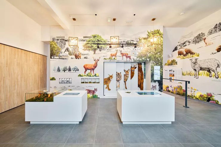 There are two display cabinets with screens presenting wildlife. Animals and plants are also depicted on white walls on the right and in the back.