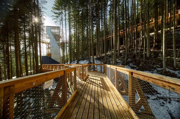 A long wooden platform runs among tall trees, opening a vista to a tall panoramic tower providing the end of the educational trail.