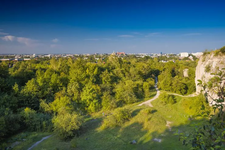 A view down into a grassy hollow on a sunny summer day. The white rock face on the right implies that the photo was taken from a tall cliff. A panorama of Kraków roofs can be seen under the blue skies behind the trees taking the centre of the picture.